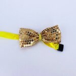 Bow Tie Manufacturer - Sequins Stage Performance Paillette Colorful Bow Tie