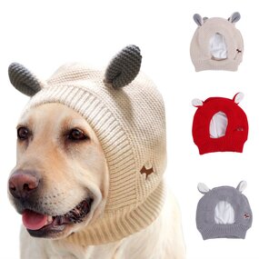 Pet Trapper Hat Manufacturer - Winter Dog Woolen Puppy Hat With Ear