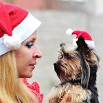 Santa Hat Manufacturer - Pet Winter Warm Plush Cap Xmas Party Decor Hat