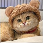 Pet Headgear Supplier - Cat Personality Creative Dress up Headdress Small Dog