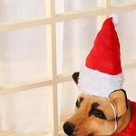 Santa Hat Manufacturer - Pet Winter Warm Plush Cap Xmas Party Decor Hat