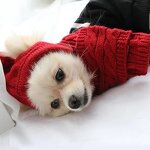 Pet Hat Set Supplier - Winter Warm Stripes Knitted Hat Scarf Set for Dog