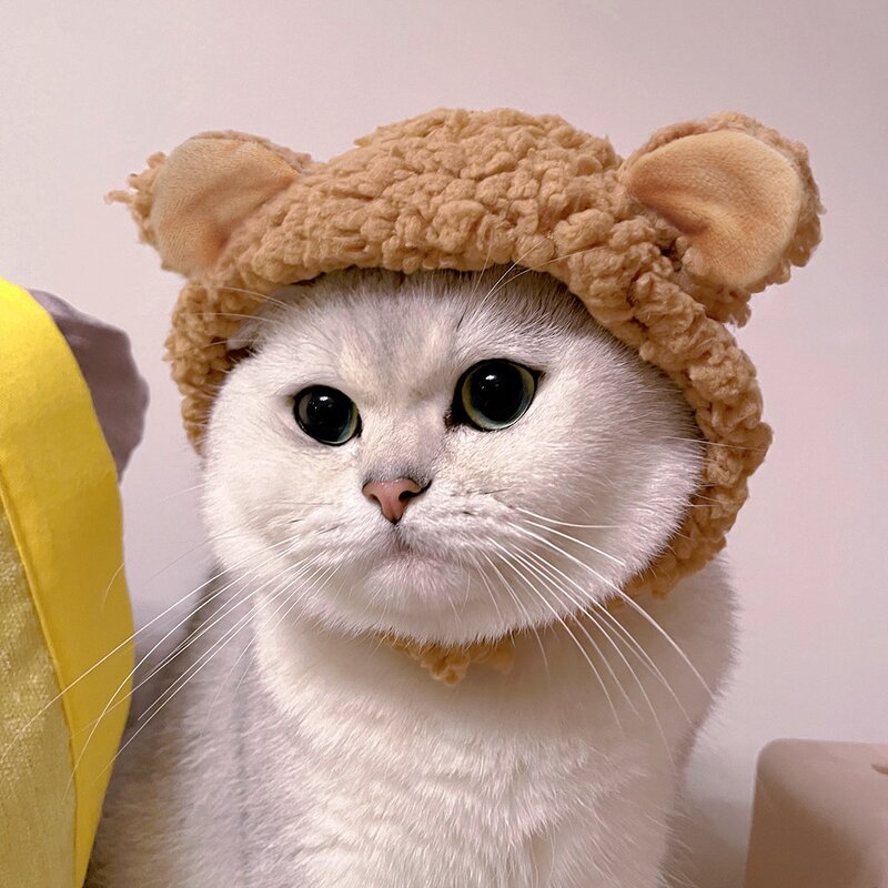Pet Headgear Supplier - Cat Personality Creative Dress up Headdress Small Dog