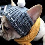 Pet Hat Factory - Winter Dog Christmas Woolen Puppy Hat With Ball