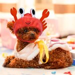 Pet Hat Manufacturer - Funny Hat for Cat Crab Frog Dress up Costume Headwear