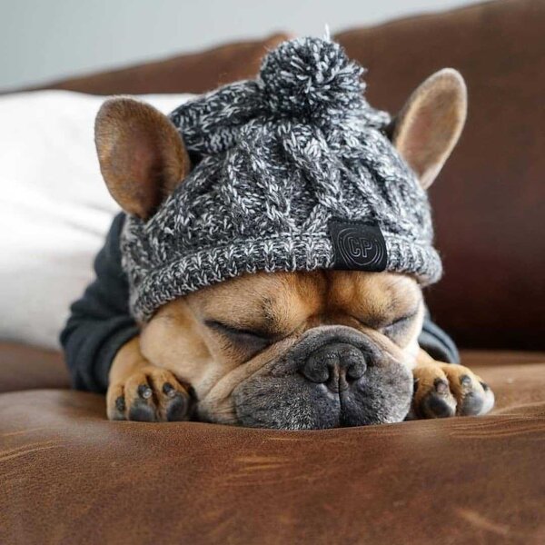 Dog Hats Factory - Winter Warm Knitting French Bulldog Cap Fluffy Ball
