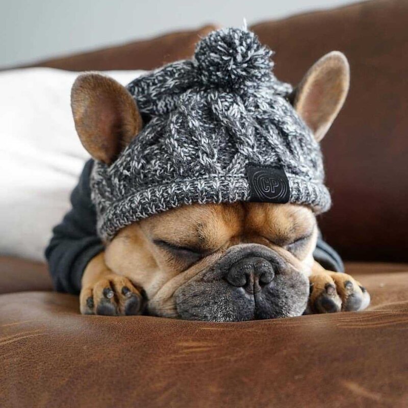 Dog Hats Factory - Winter Warm Knitting French Bulldog Cap Fluffy Ball