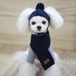 Pet Hat Set Supplier - Winter Warm Stripes Knitted Hat Scarf Set for Dog