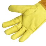 Gardening Gloves Supplier - Natural Goatskin Thorn Proof