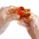 PE Gloves Wholesale - 100PCS Disposable Home Exam