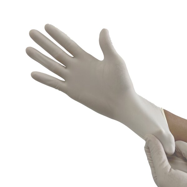 Latex Exam Gloves Factory - 100PCS Wholesale Powder Free