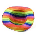 Cowboy Hat Supplier - LGBTQ Carnival Rainbow Glitter