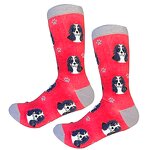 Dog Socks Supplier - King Charles Cavalier Pattern