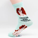 Dog Socks Supplier - King Charles Cavalier Pattern