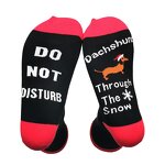 Christmas Socks Supplier - Holiday Dachshund Funny