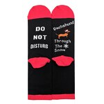 Christmas Socks Supplier - Holiday Dachshund Funny