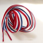 Pride Shoelaces Factory - LGBTQ Asexual Parade