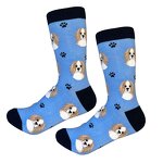 Dog Socks Supplier - King Charles Cavalier Pattern