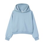 Cropped Hoodie Factory - 450g Pure Cotton Silver Fox
