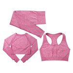 Women Gym Sets Manufacturer - 3 Pieces Sport Bra Legging