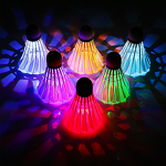 Badminton Shuttlecock Supplier - LED Goose Feather BWF Model