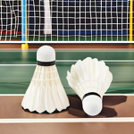 Badminton Shuttlecock Factory - Professional Goose Feather Cork Head