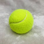 Tennis Ball Supplier - Custom 801 Beginner Training High Elasticity