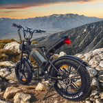 Electric Bike Supplier - 750W Retro Hybrid 48V 15AH Folding