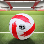 Soccer Ball Factory - Custom Logo Microfiber PU Rubber Size 5
