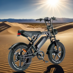 Electric Bike Supplier - 750W Retro Hybrid 48V 15AH Folding