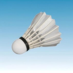 Badminton Shuttlecock Supplier - Factory Direct Goose Feather Cork