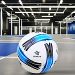 Soccer Ball Manufacturer - Custom Official 5 Thermal Bonded PU