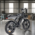 Electric Bike Manufacturer - 500W Retro Moped 48V Fat Tire