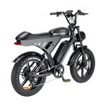 Electric Bike Manufacturer - 500W Retro Moped 48V Fat Tire