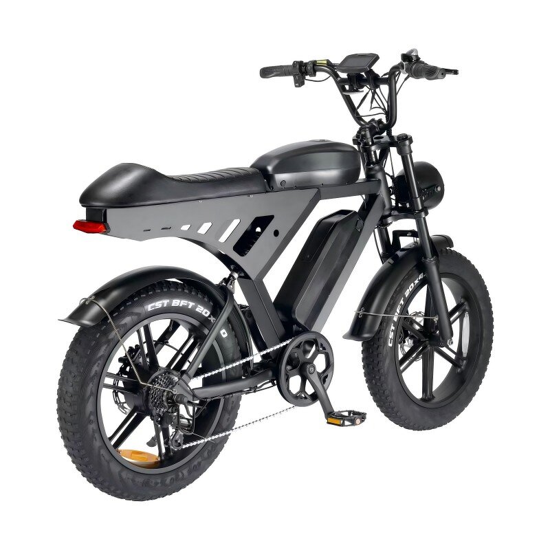 Electric Bike Manufacturer - 500W Retro Moped 48V Fat Tire