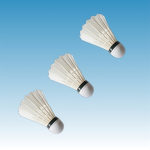 Badminton Shuttlecock Supplier - Factory Direct Goose Feather Cork