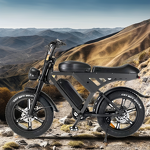 Electric Bike Manufacturer - 500W Retro Moped 48V Fat Tire