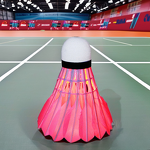 Badminton Shuttlecock Supplier - LED Goose Feather BWF Model
