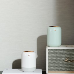 定制迷你1L暖雾机加湿器蒸汽房超声波冷雾加湿器