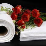 Non-Woven Fabric Manufacturer - 100% Polyester Anti-Static Laminated