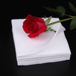 Non-Woven Fabric Supplier - Fluorescent White 100% Polyester