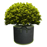 Grow Bag Supplier - Custom 2-10 gal Non-woven Fabric Pot