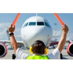 Traffic Control Batons Supplier - 16 Inch LED for Parking Airport