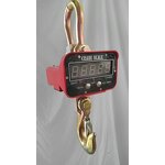 Electronic Crane Scale Manufacturer - Portable 1T 2T 10T Max Capacity High Accuracy