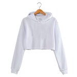 Blank Hoodie Factory - 100% Cotton Heavy with Kangaroo