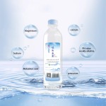 批发矿泉水从工厂380毫升，500毫升，1L, 4L， 15L瓶装矿泉水从天然泉OEM ODM接受