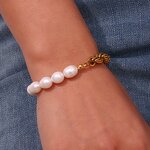 Punk Jewelry Set Supplier - Chunky Choker Earrings Bracelet