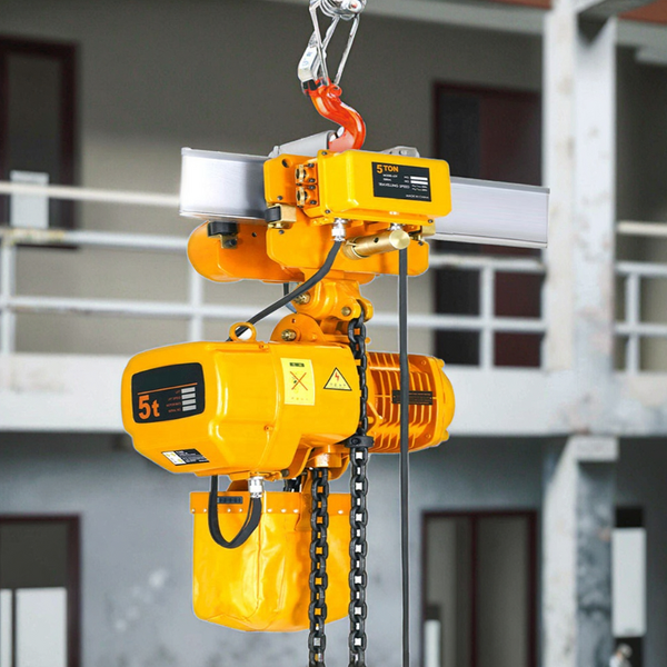 Mini Hoist Crane Supplier - 1000kg DHS Type Garage Winch