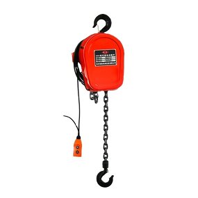 Electric Hoist Supplier - 230kg Small Hoist with Remote