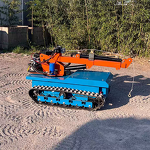 Telescopic Crane Factory - Small Track-Mounted Custom